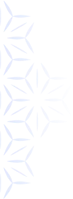 vector