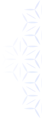 vector