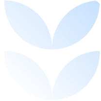 vector